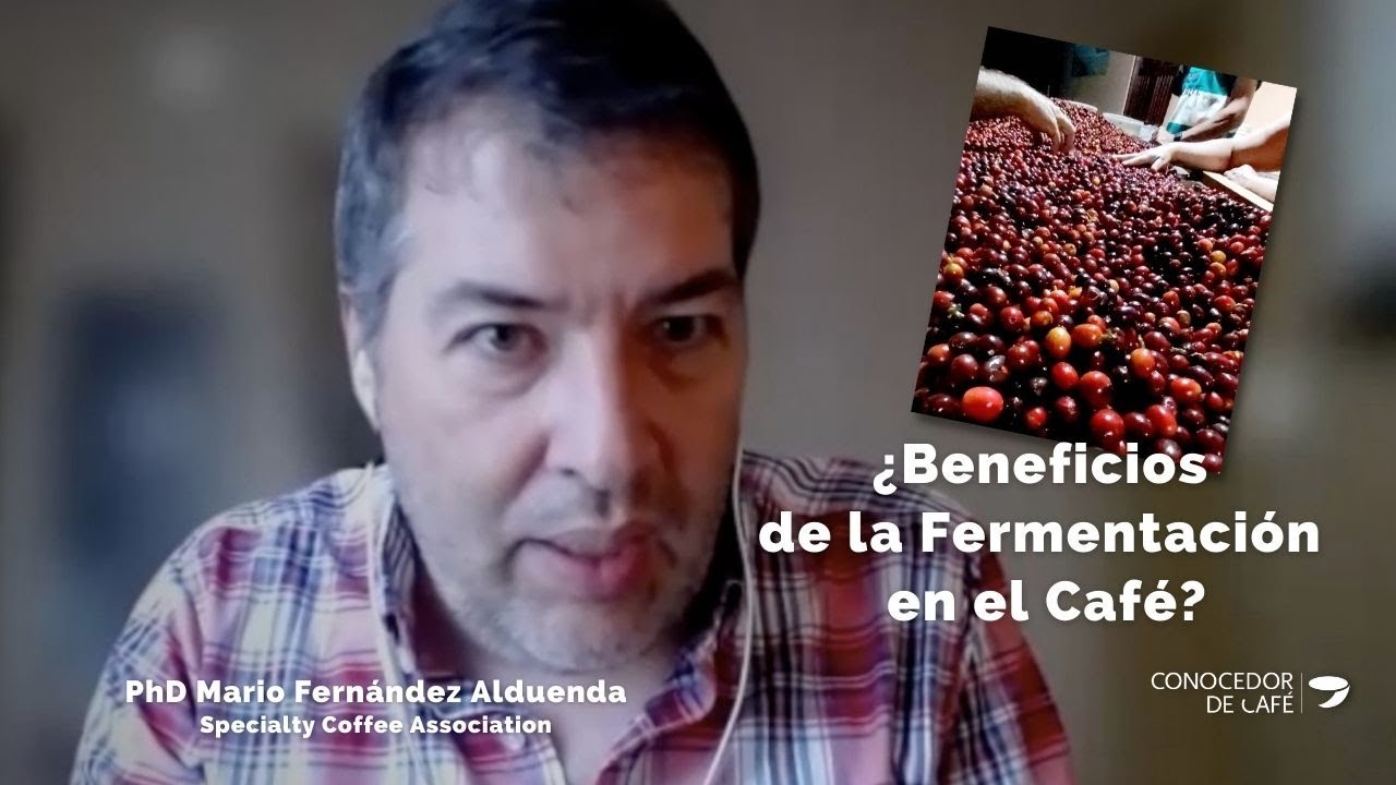 FERMENTACIÓN en el CAFÉ... lo que PUEDES y NO DEBES hacer para mejorar los PRECIOS!