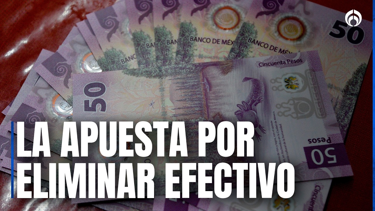 Banca y gobierno se alinean en un camino: digitalización de pagos, explica la ABM