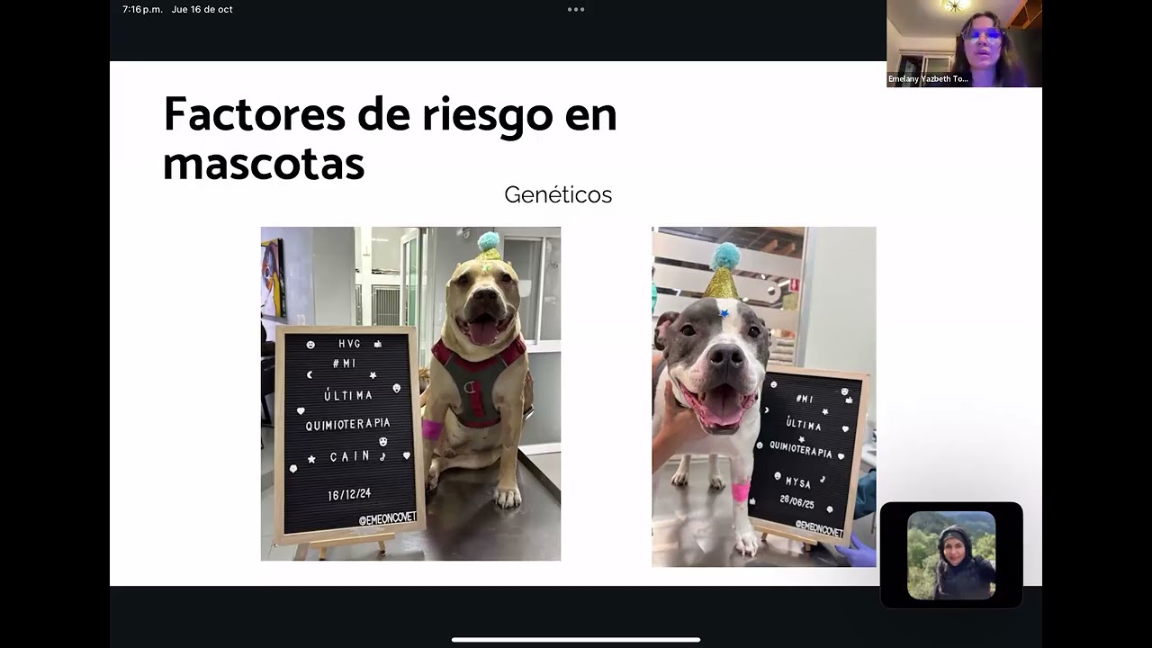 Conferencia: Cáncer en mascotas, un mal cada vez más común.