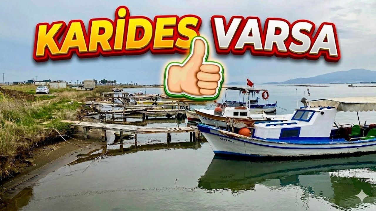 Aranızda Taze Karides Sevmeyen Var mı? Silikon Karides İle Levrek Avı
