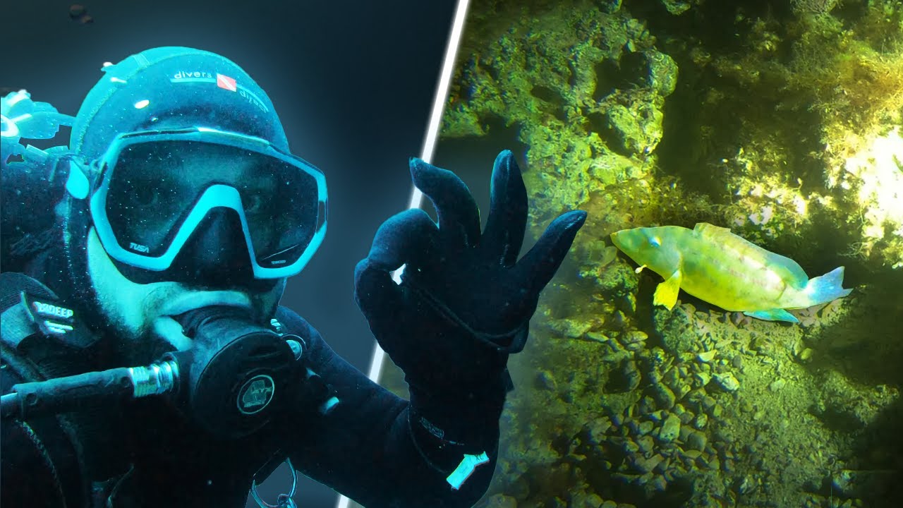 JAK NA POTÁPĚNÍ V NOCI 🌙