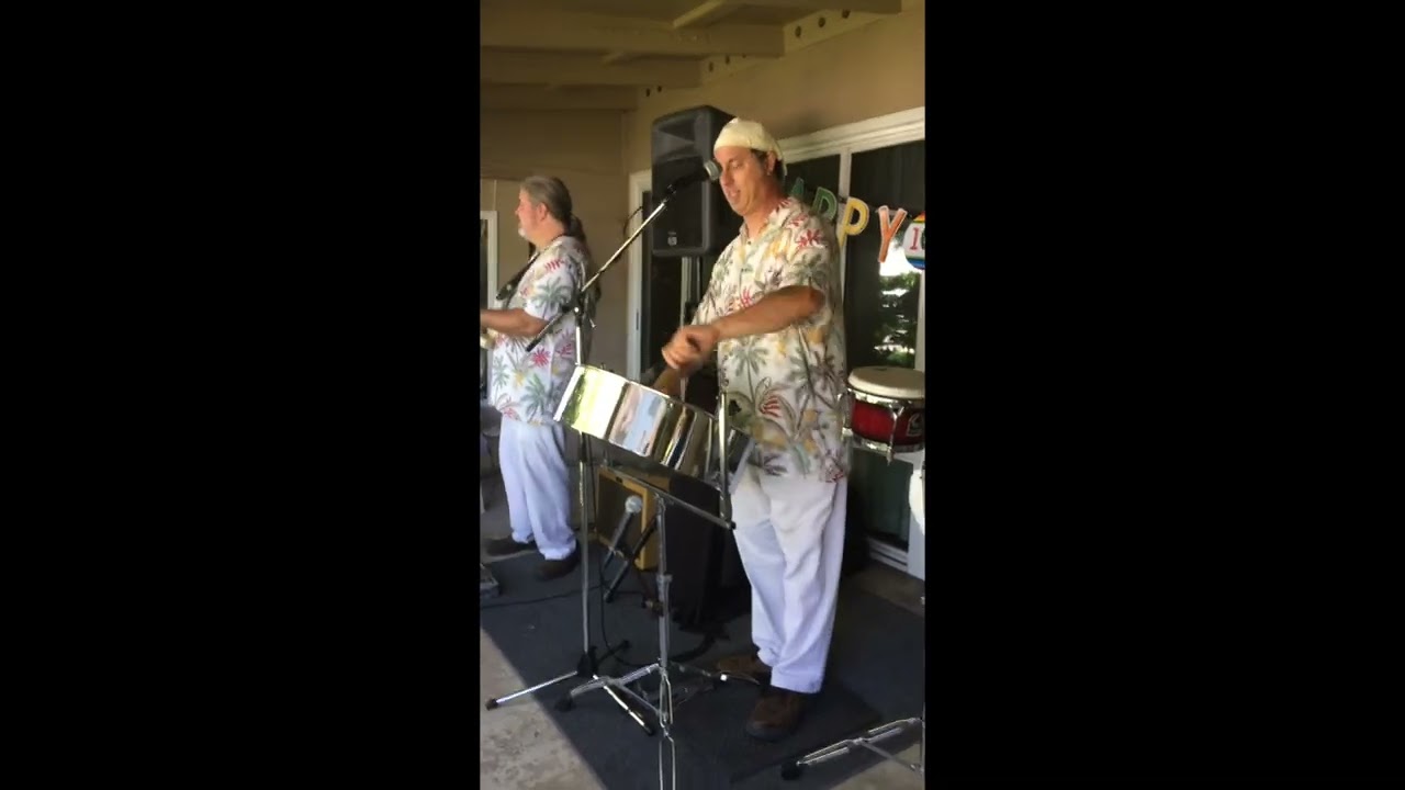 Don't Worry Baby (Beach Boys) on Steel Drum