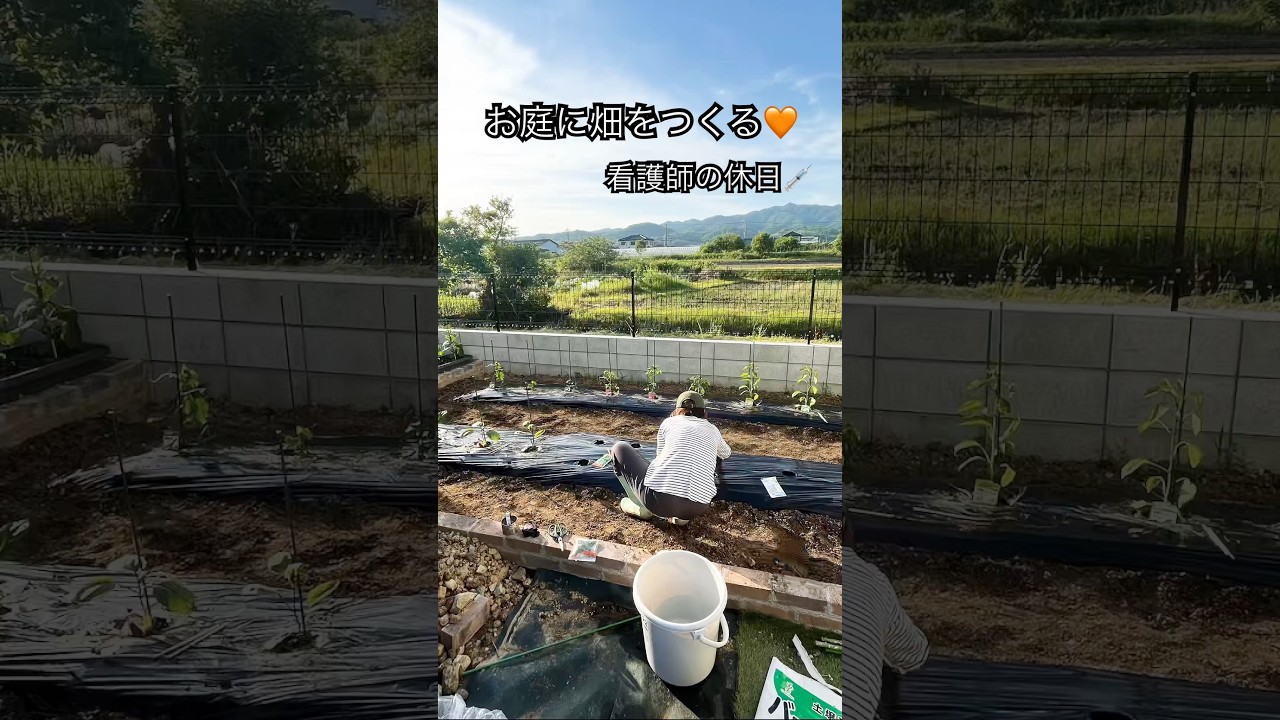 マイホーム購入🏠お庭に畑をつくる！　