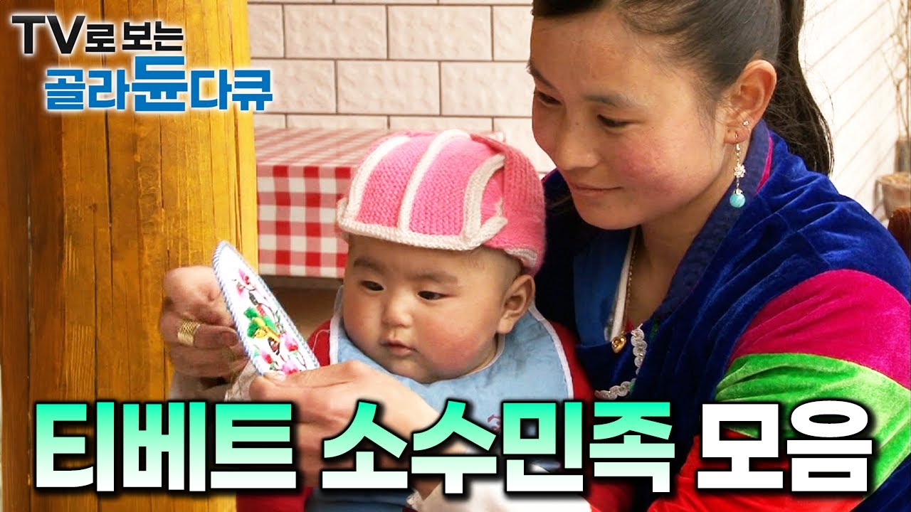 유목민부터 무슬림까지 티베트 자치구 소수민족 모아보기｜장족｜토족｜회족｜중국 여행｜세계테마기행｜#골라듄다큐
