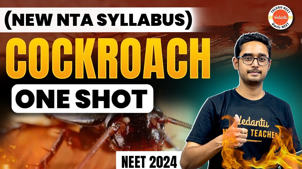 Cockroach One Shot | New NTA/NMC Pattern | NEET 2024 | Ajay sir | Vedantu Telugu NEET