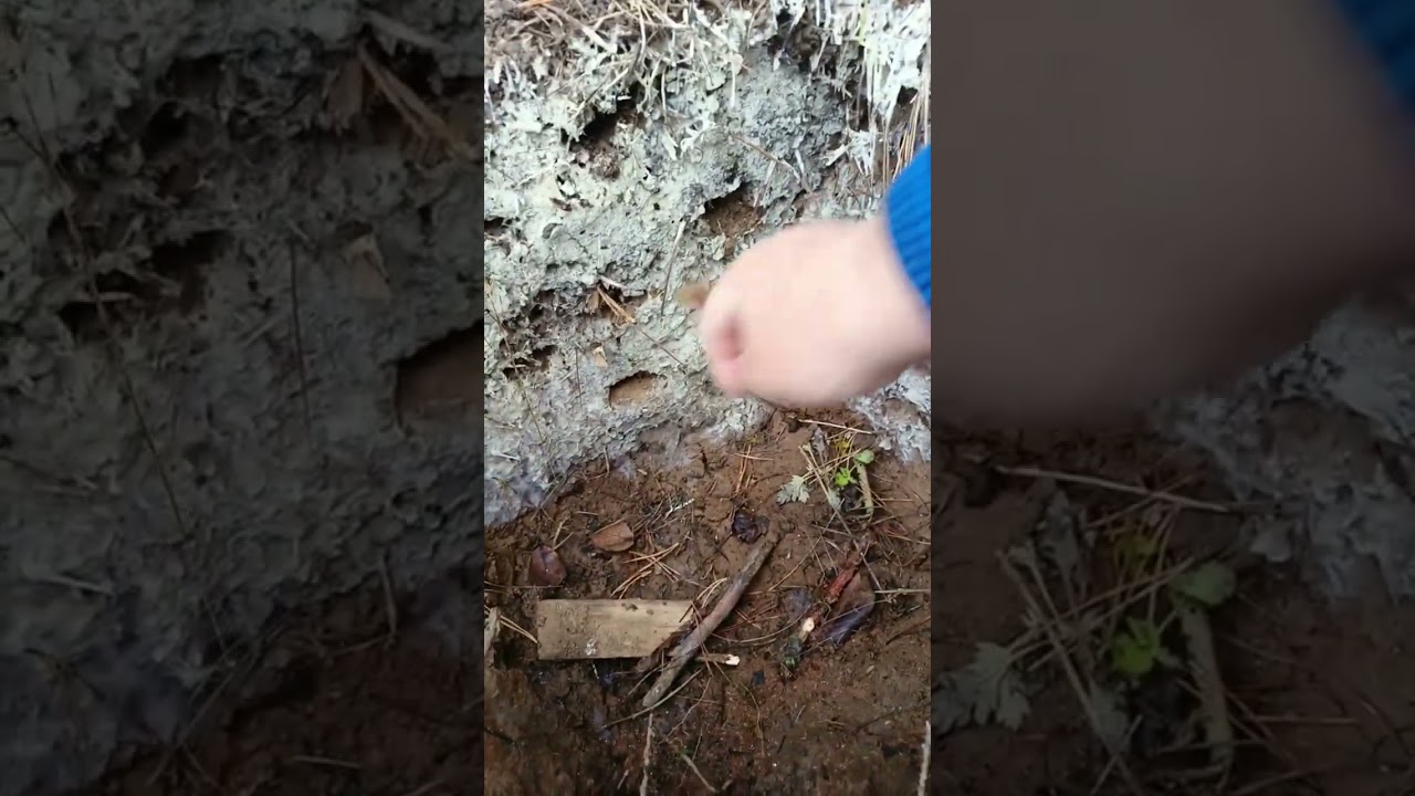 ТХ850 тест на стопку монет,и тест снайперски на глубину.