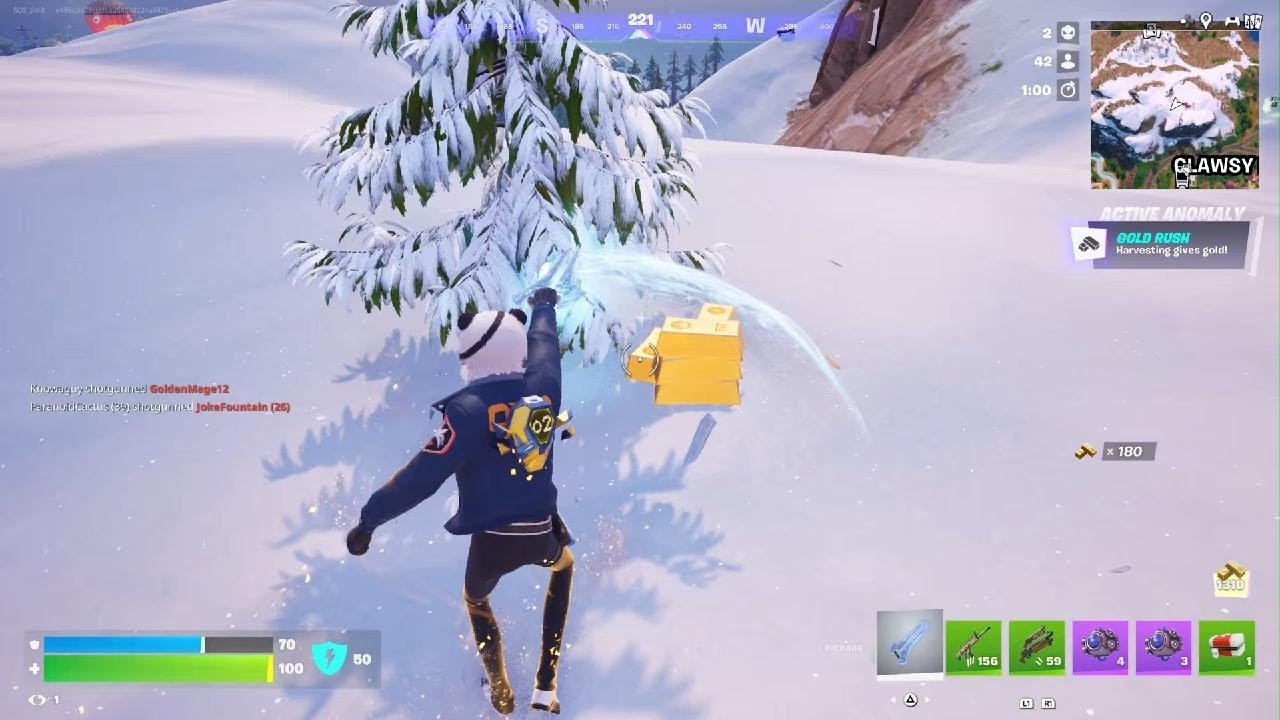 Fortnite Solo Win