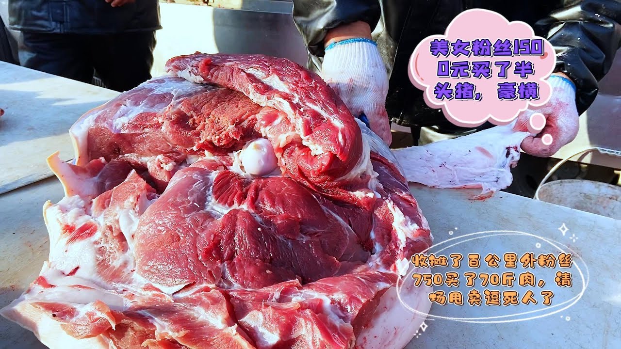 美女1500买半头猪，“粉丝百公里疯狂求购”好悬空手回，惊险刺激#pork #猪肉 #玖叔vlog#华哥猪肉#玖叔猪肉#豬肉