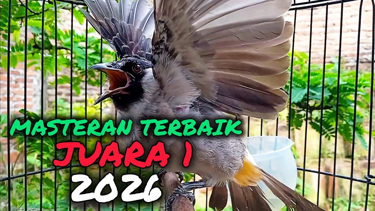KUTILANG GACOR FULL ISIAN TERBAIK NOMOR 1 SEDUNIA 