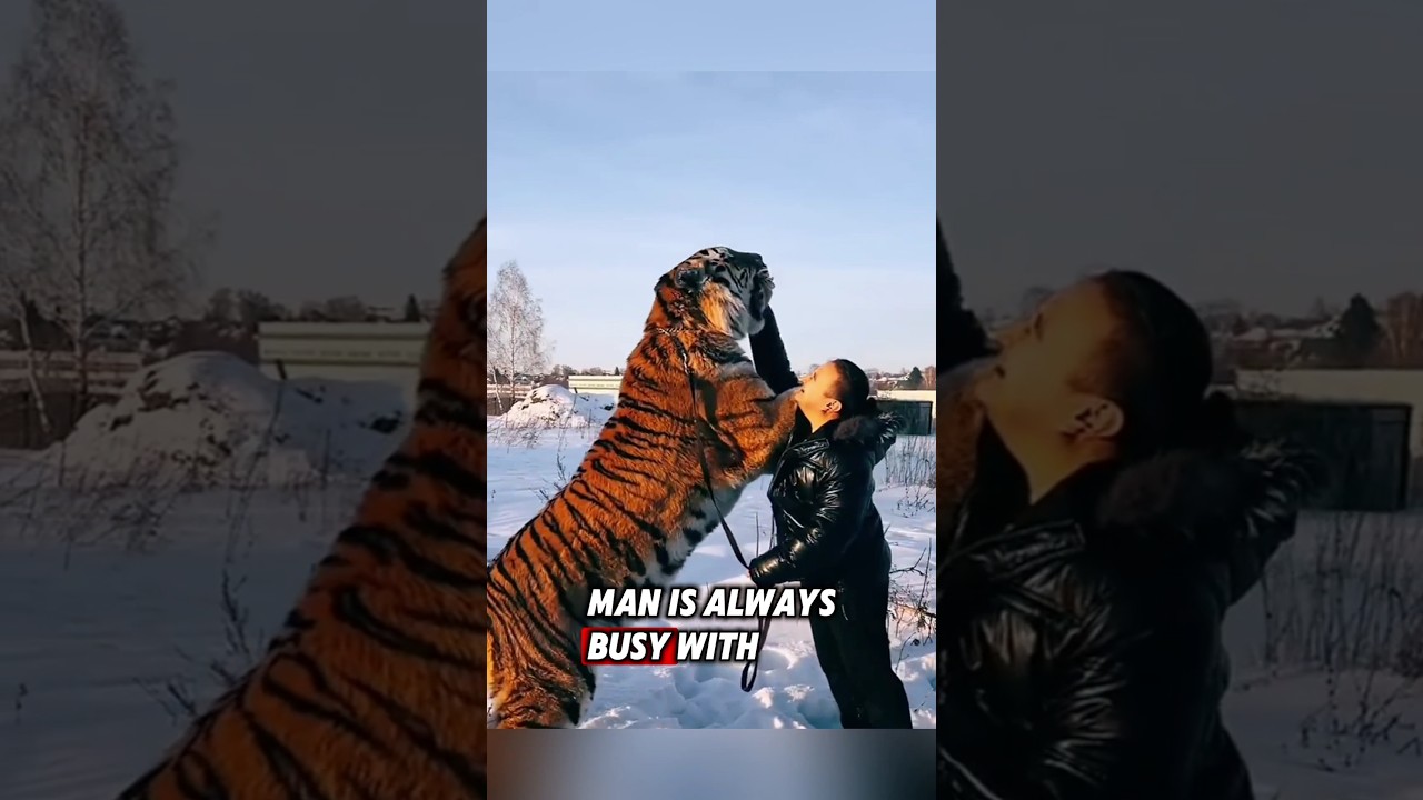 The kind man saved two abandoned tiger cubs, and then this happened... #rescue #tiger