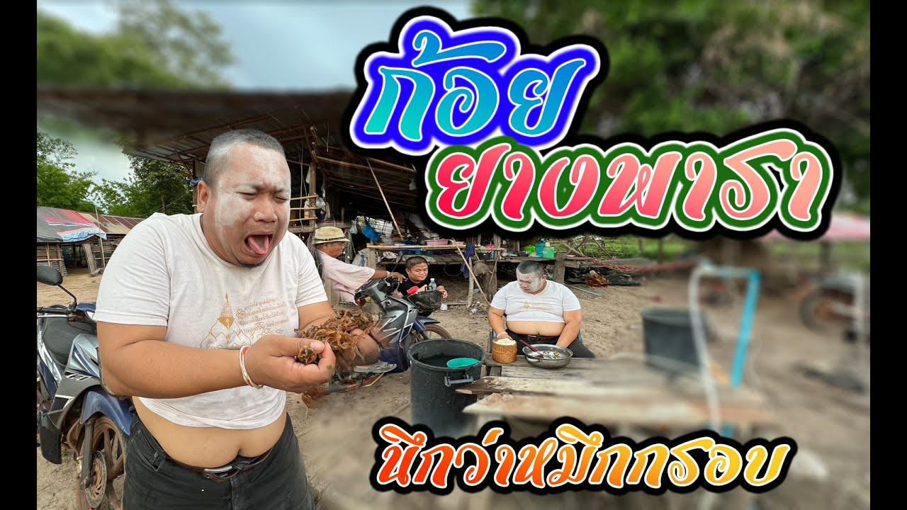 กะเมาคักโพด‼️เห็นขี้ยางเป็นปลาหมึกแห้งเอามาก้อยกินเสย เซียงเพ้ว