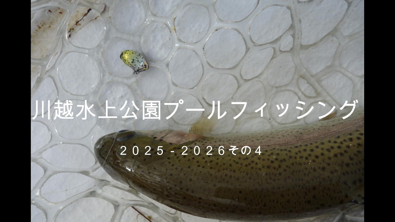 川越水上公園プールフィッシング　２０２５－２０２６その４