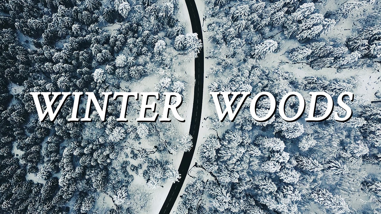 20 minutes flying over Winter forests | DJI Mavic Mini drone winter video & relaxing music