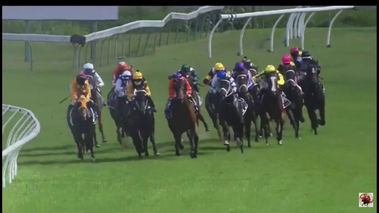 2021 Magic Millions Classic 2yo