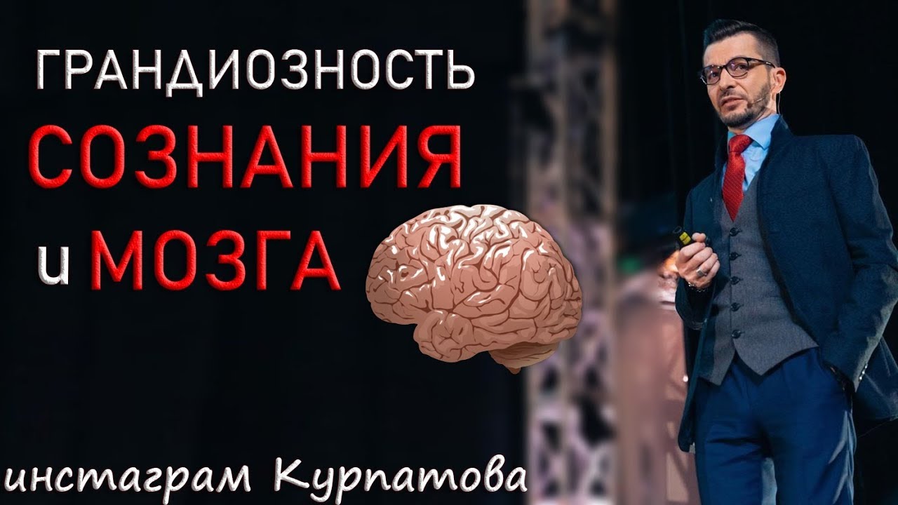 Грандиозность мозга и сознания, А.В. Курпатов