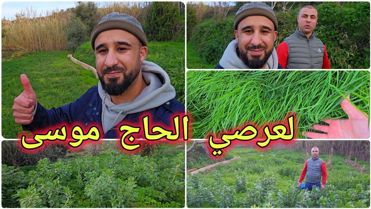 🚨بعد أمطار الخير🌧بإغزار أمقران تمسمان لعرصي الحاج موسى...بعد سنوات من الجفاف🤲