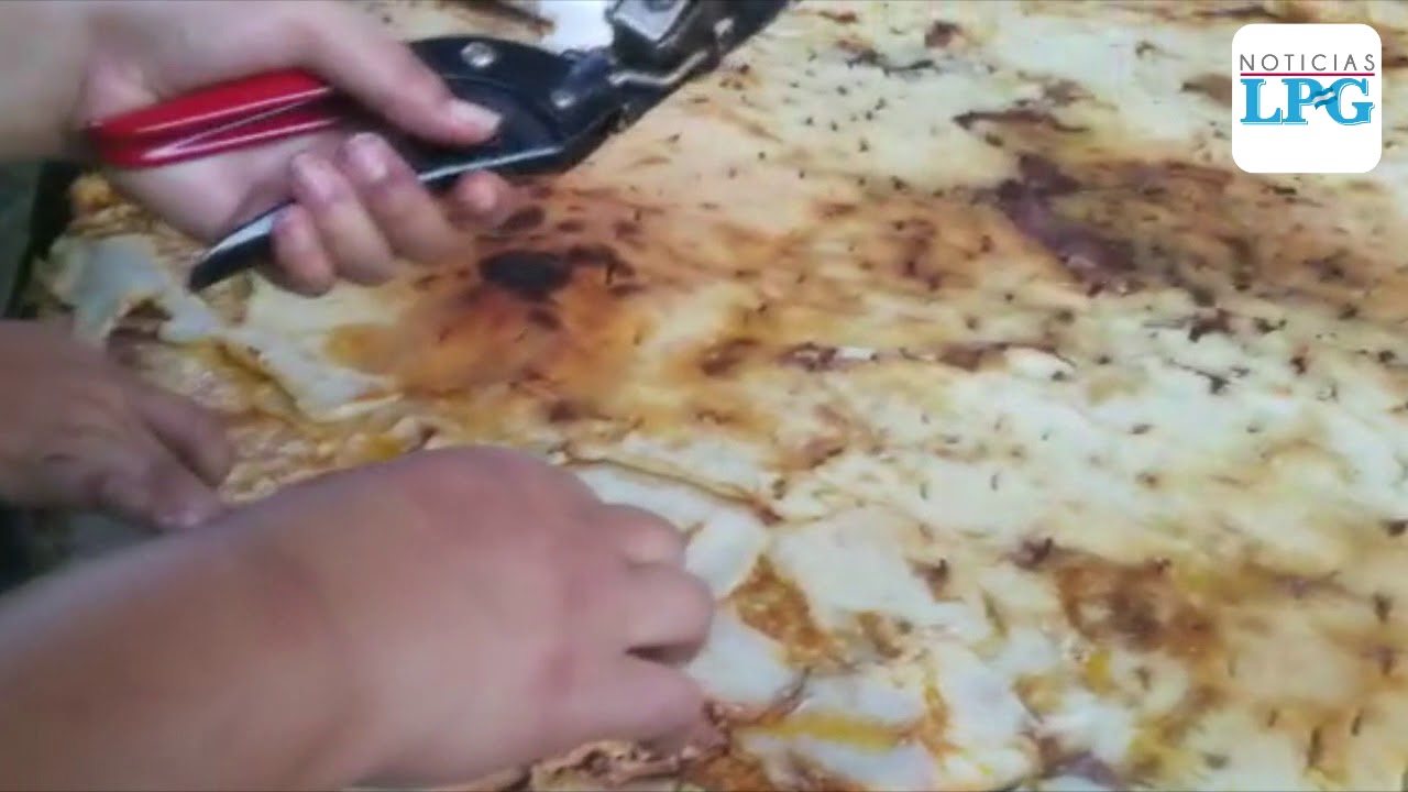 As&iacute; celebraron los salvadore&ntilde;os el D&iacute;a Nacional de la Pupusa