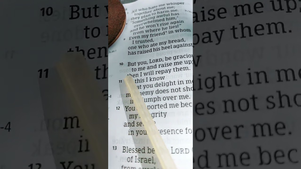 Psalms 41 