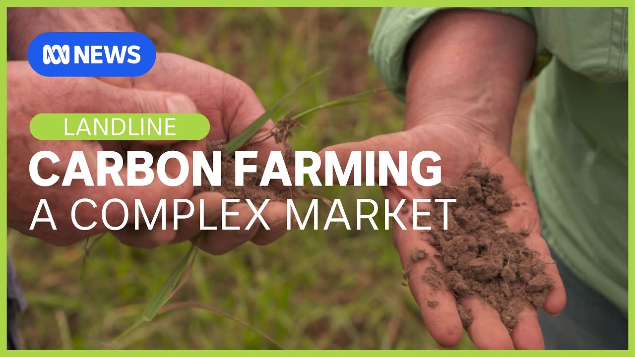 Carbon Questions: The complexity of carbon farming l Landline l ABC NEWS