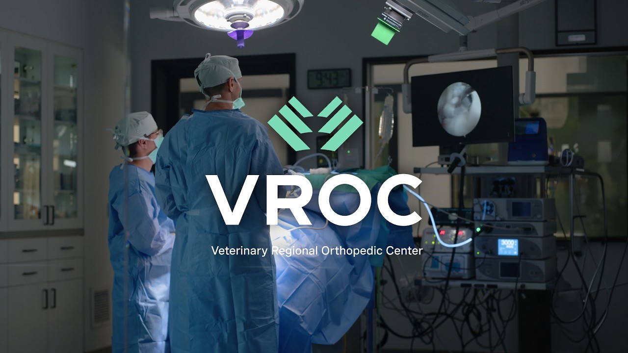 VROC | Transforming orthopedic & spine surgery for pets
