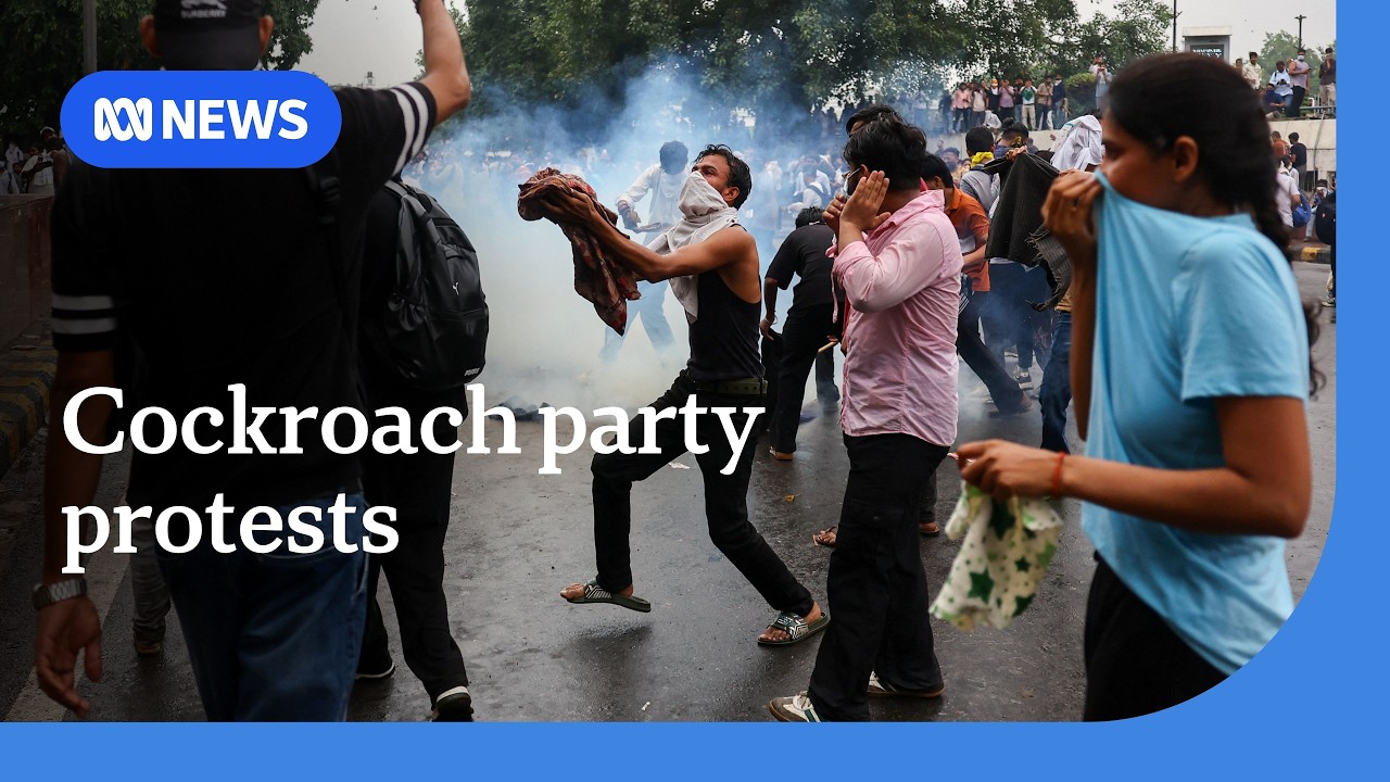 Massive protest in Delhi demands education minister resign | The World | ABC NEWS