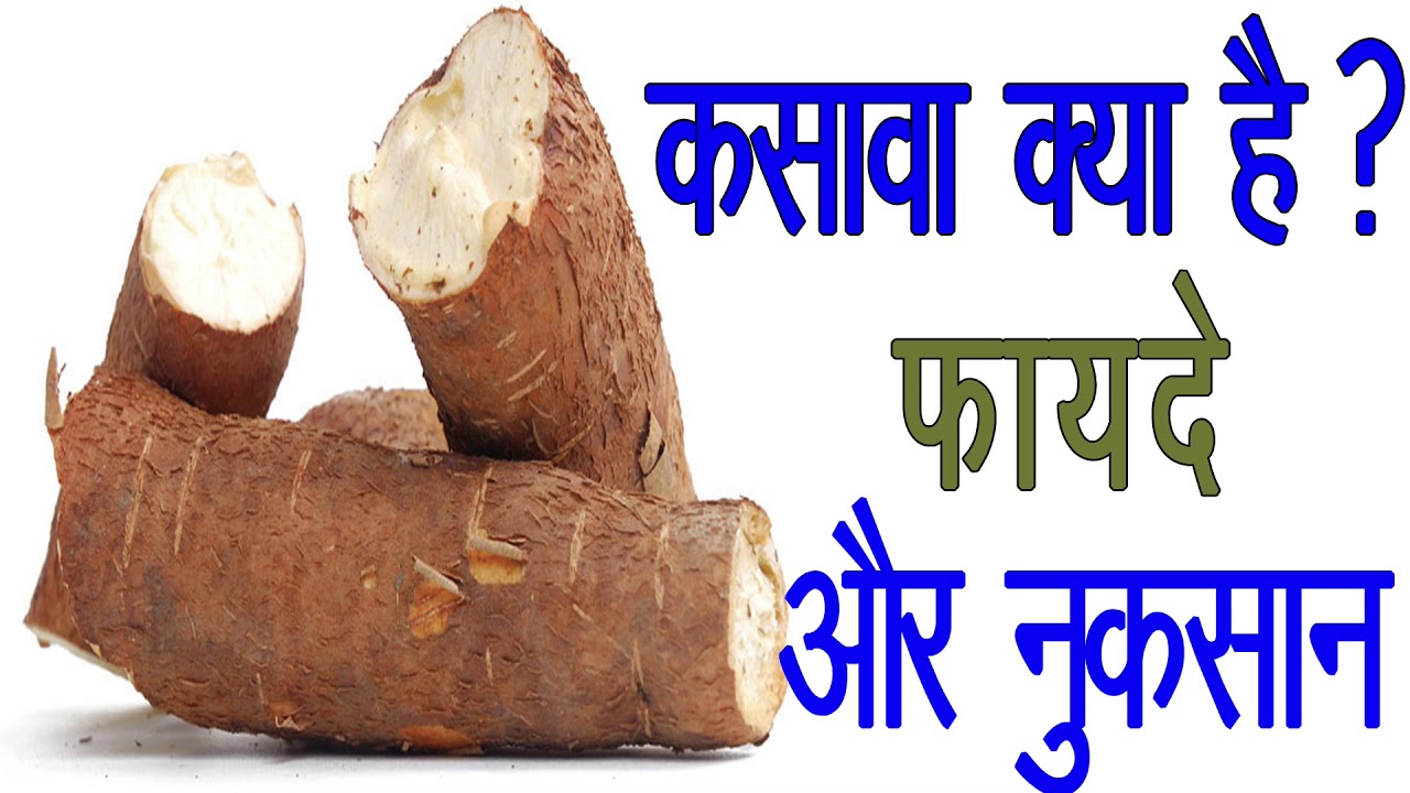कसावा क्या है ? जाने इसके फायदे और नुकसान के बारे में/cassava benefits and side effects