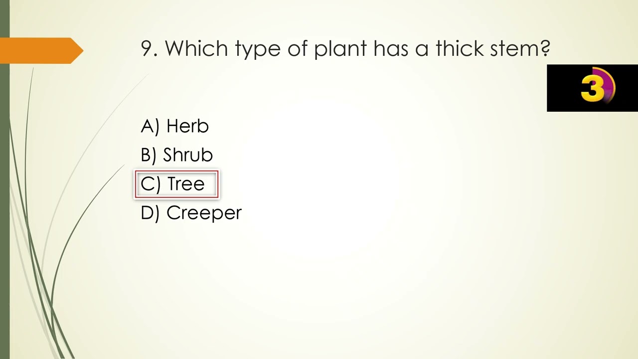 Class 5 chapter 3// Seeds their structure and germination// STBB// Test mcqs 