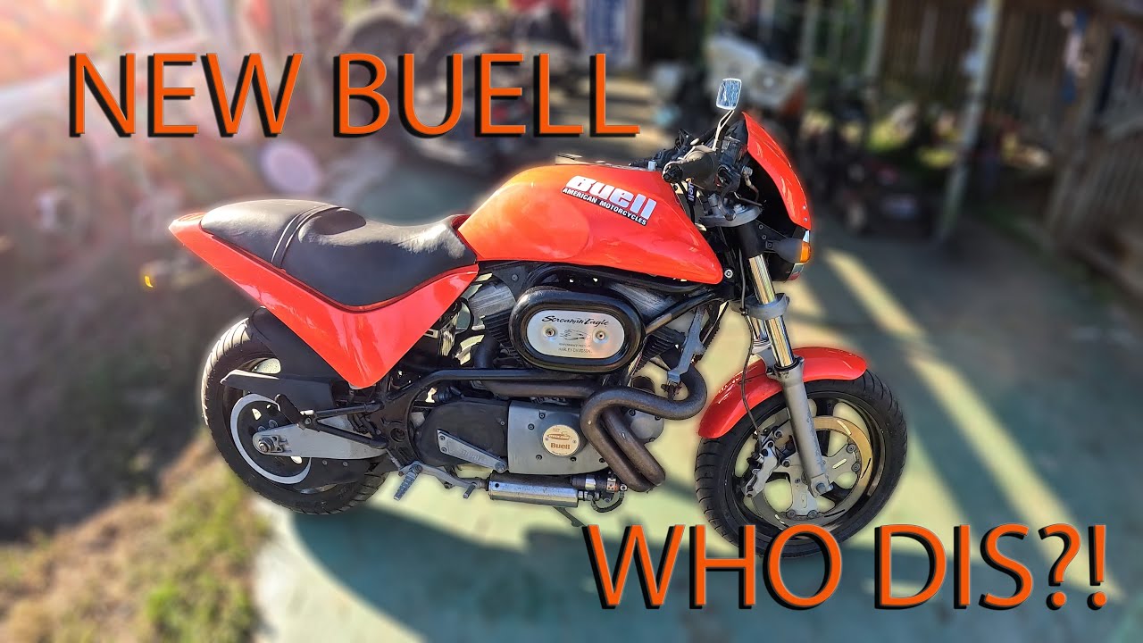 NEW BUELL !!!!!!