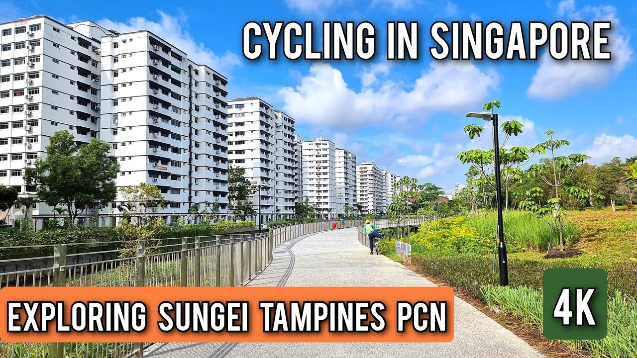 Singapore PCN Cycling | Tampines to Pasir Ris Beach Park via new PCN Sungei Tampines