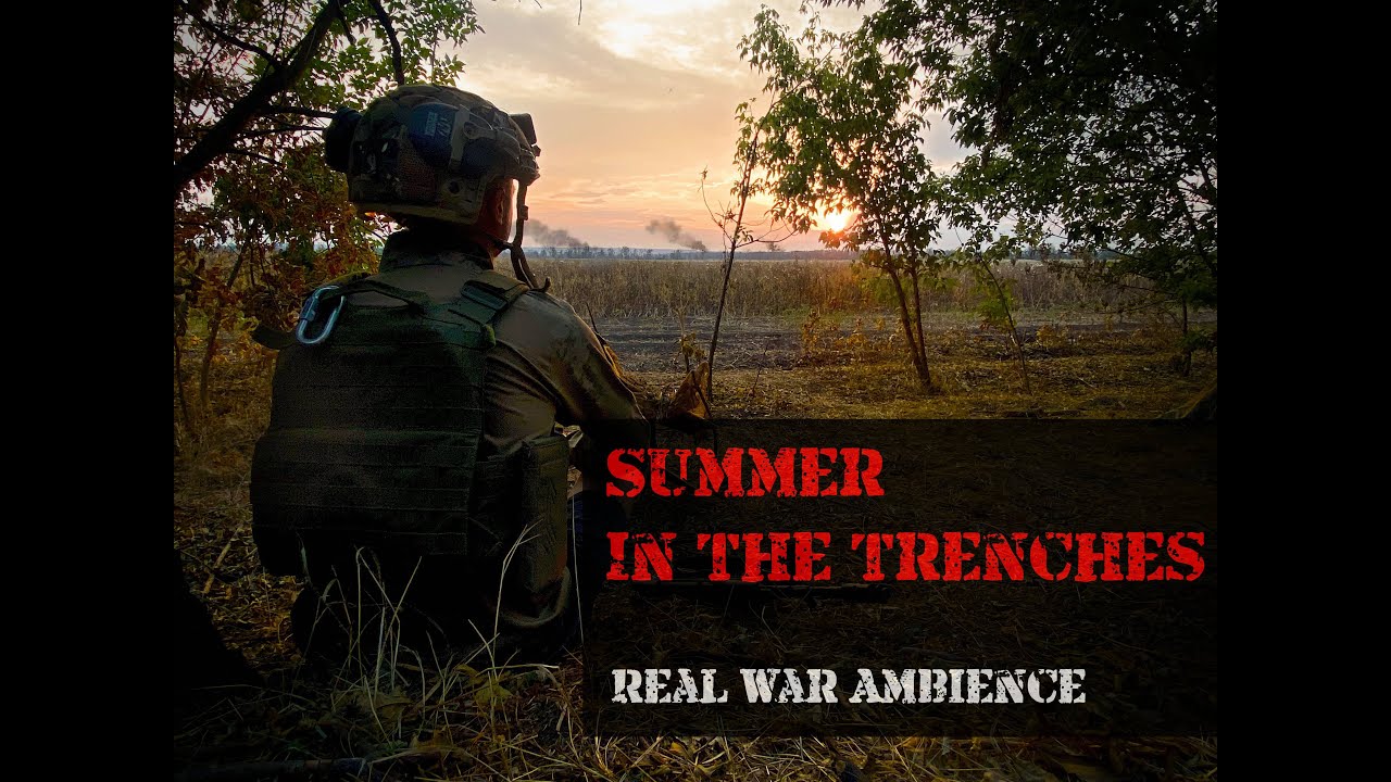 Summer in Trenches | Real War Ambient | Rus-Ukrainian Frontline Background Sounds