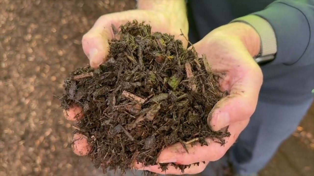 Mulch. - An in depth look at mulches, their uses and varieties.