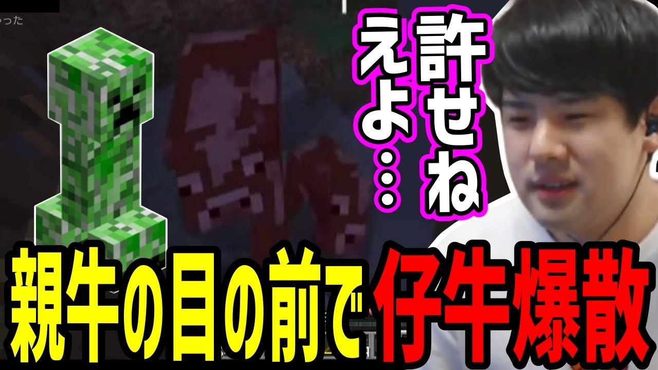 ゆゆうた、引き連れていた仔牛をクリーパーに爆殺される【2023/08/22】