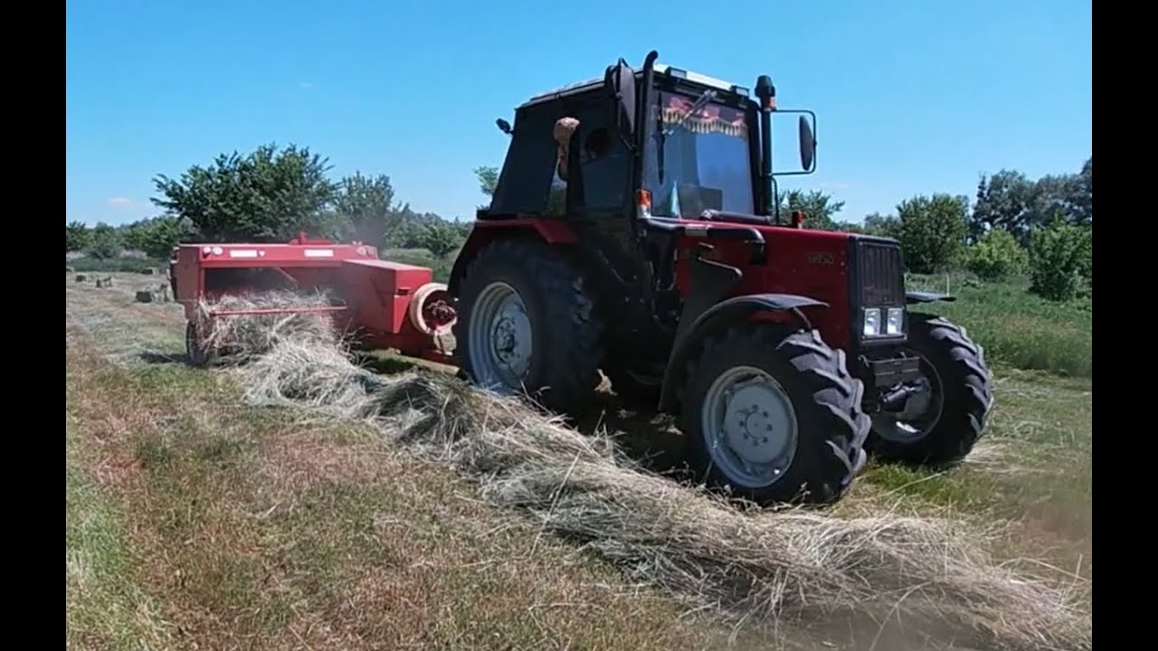 Заготівля сіна 2024