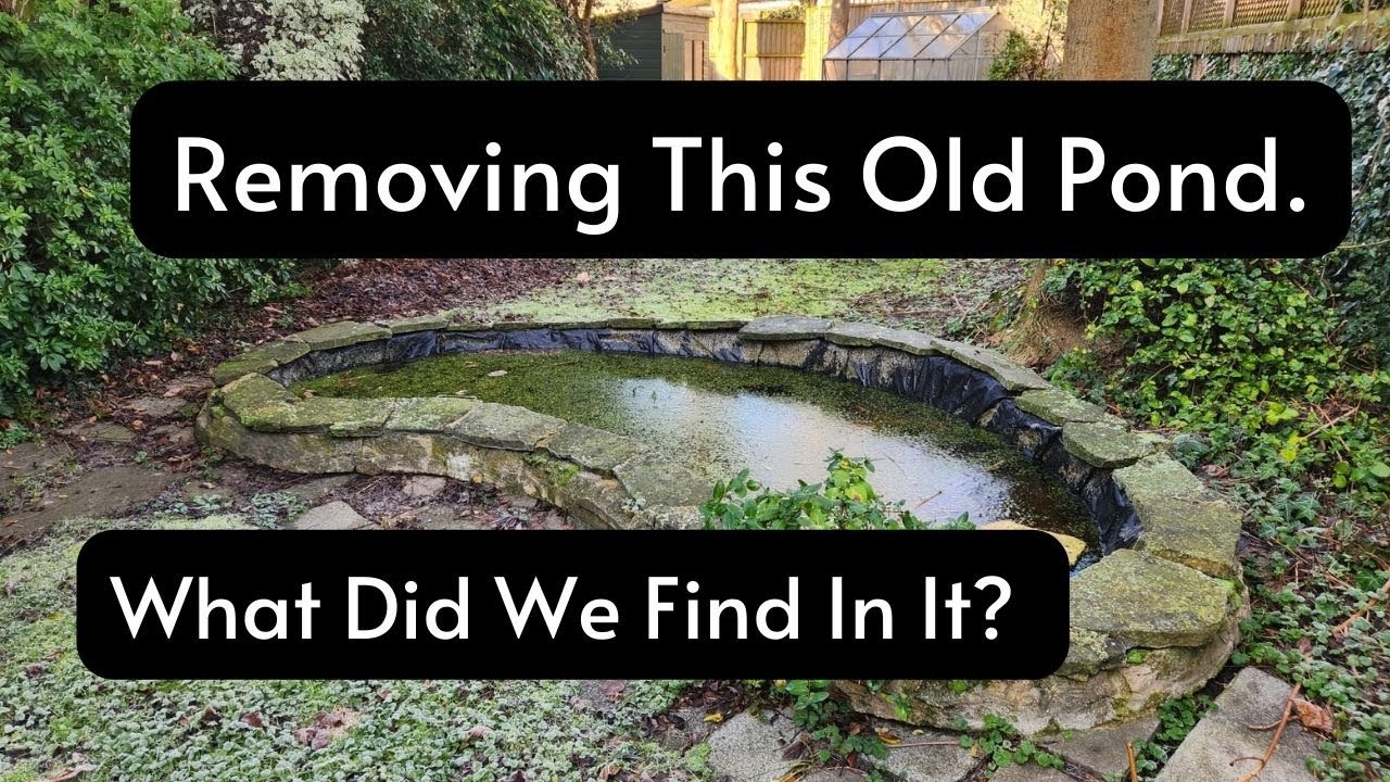 Old Pond Take Down
