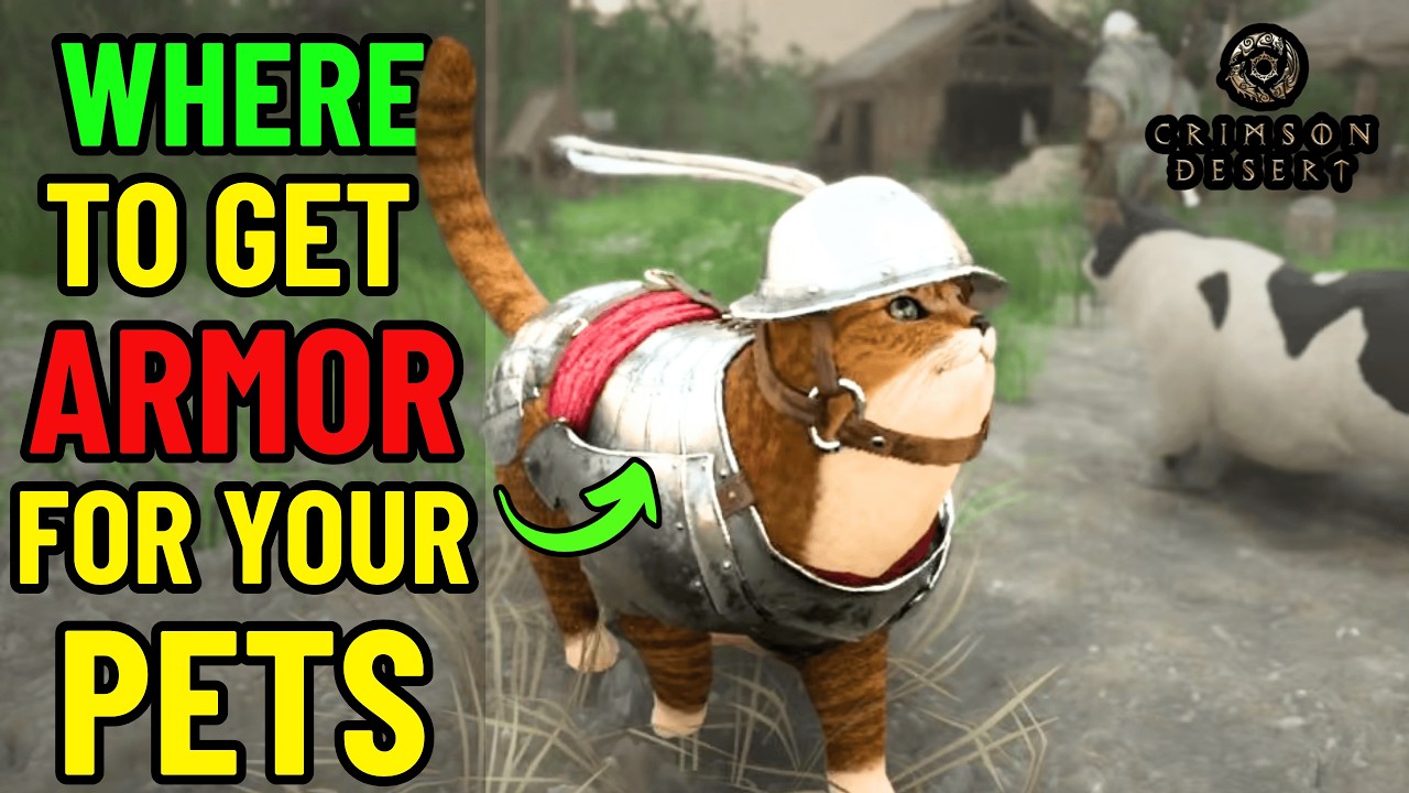 Where to get BEST Armours for your Pets in Crimson Desert!!