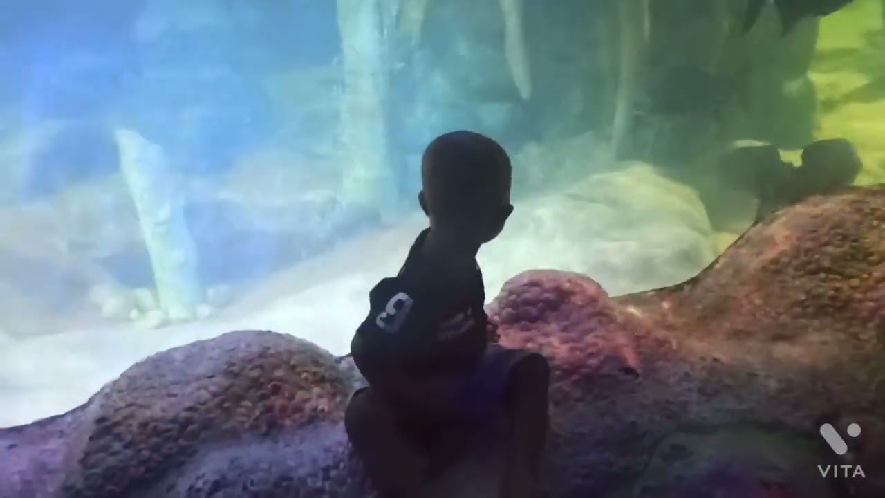 A visit to MARINE WORLD PUBLIC AQUARIUM CHAVAKAD