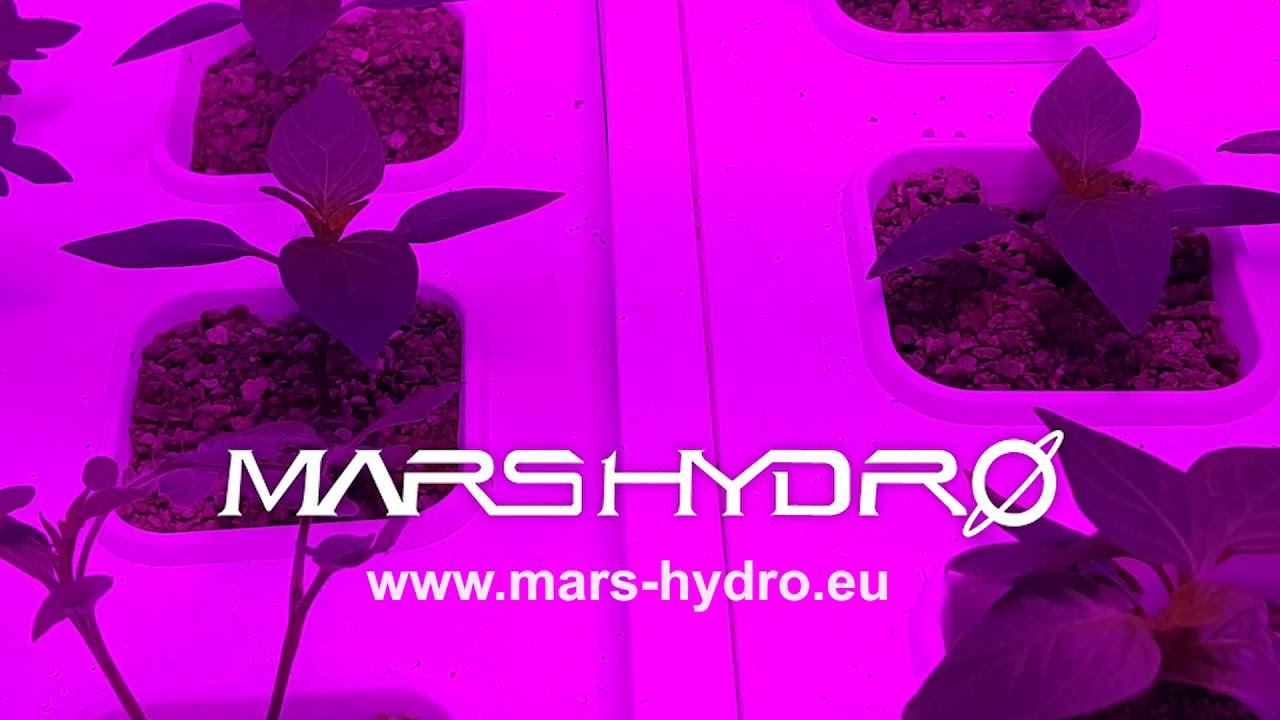 Mars Hydro TSL 2000 Grow Light