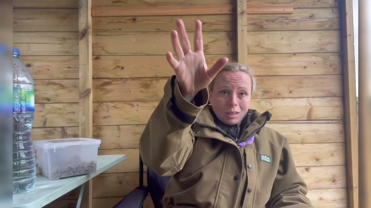 Gundog Training: Bringing in distance on the placeboard next progression stage! Episode 16