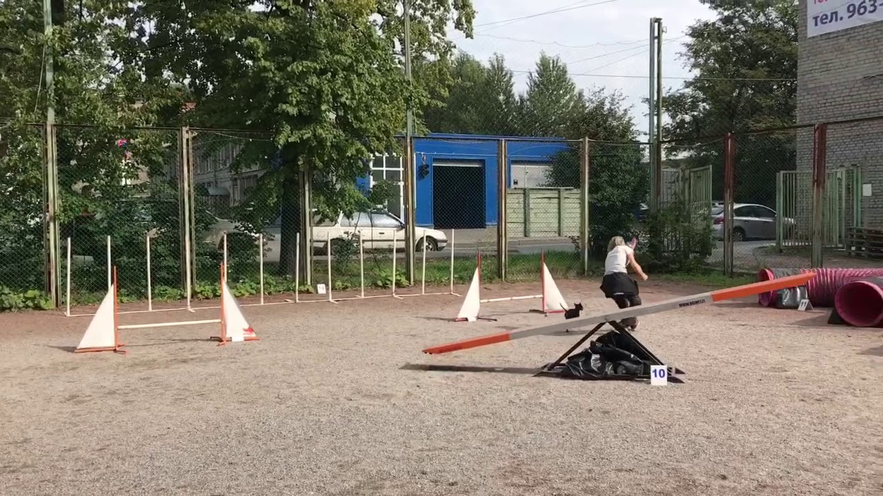 17.08.17-2