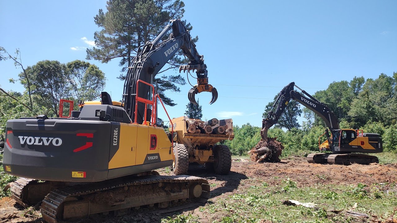 Last Trees Down On The Abandoned Farm!