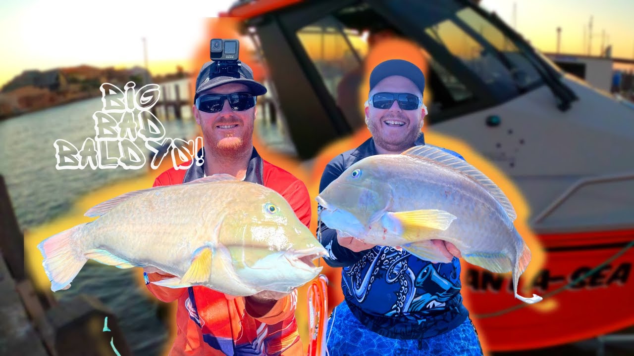 Fishing in ROUGH Weather PAYS OFF! Baldchin Groper, #Dhu Fish, BIG KG & more with @Fanta-SeaFishing