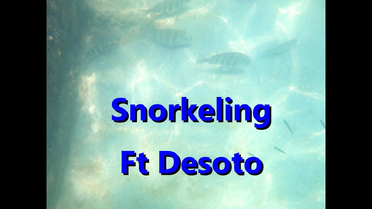 Fort Desoto Snorkeling