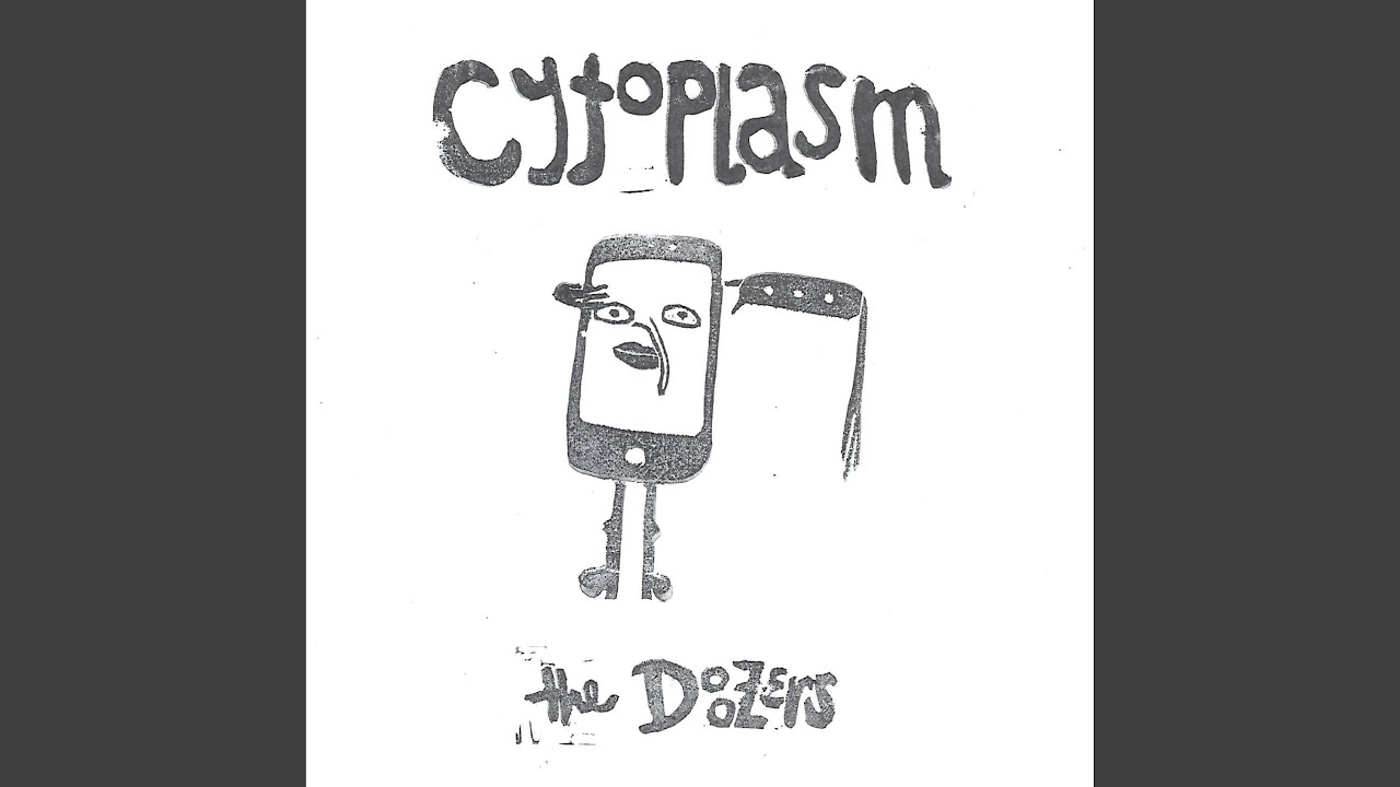 Cytoplasm