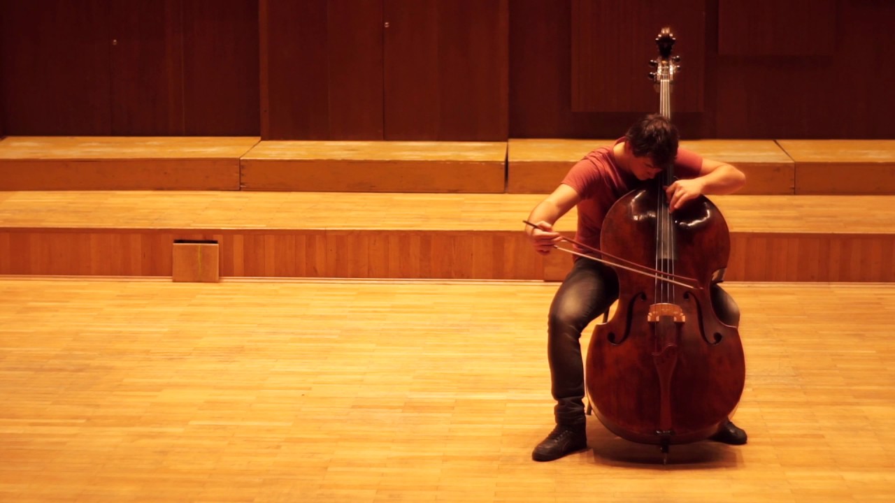 M.Gajdoš - Capriccio in e moll