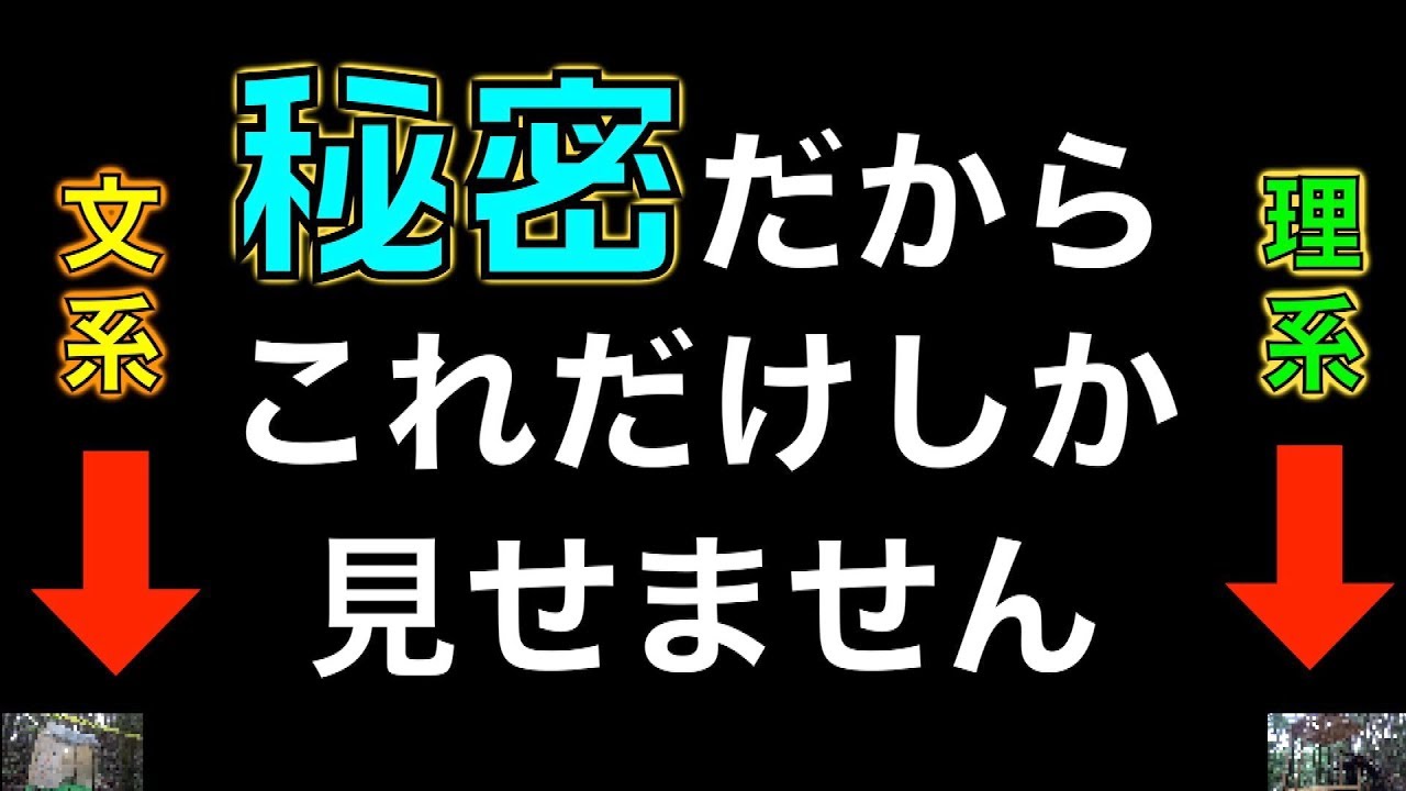 【文理】大人が本気で秘密基地作り対決！！！！！ (一万円で)