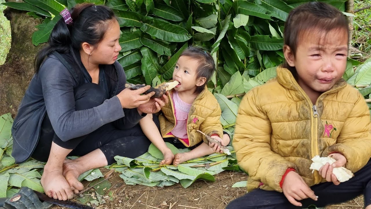 Single mother: Eat grilled cassava peaches, built a shack to live in,start a new life,Triệu Thị Ghển