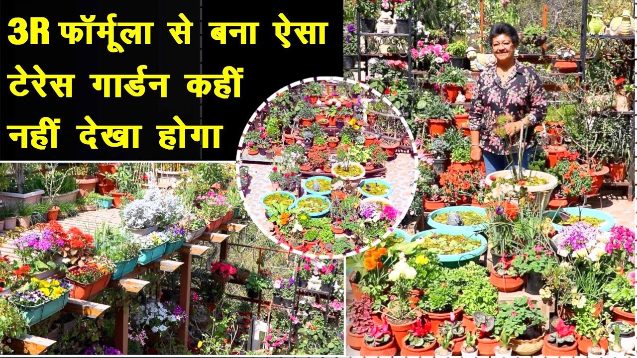 इस गार्डन में हैं Best Out of Waste😍 Plant Placement के गजब Idea || Terrace Gardening Tips
