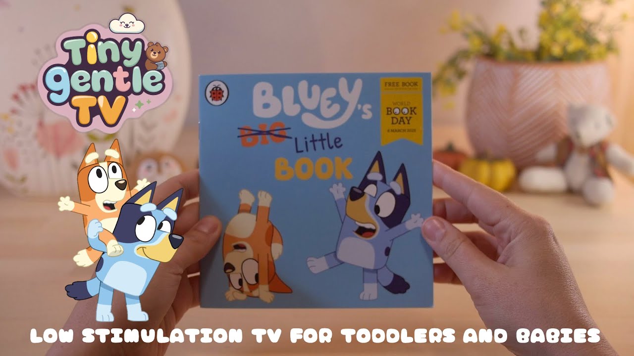 Blueys Little Book | Relaxing reading | Story time for toddlers with a BlueyBook