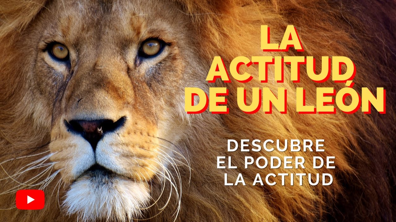 🔥 Videos de Motivacion - EL PODER DE LA ACTITUD - video de motivacion a nivel 100% -Inspiracion