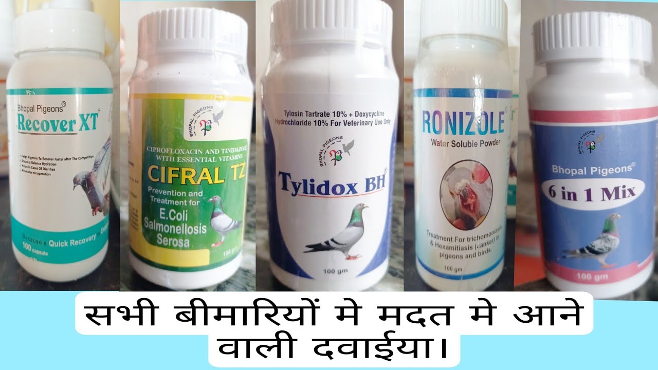 introduction about all medicine of Bhopal pigeon. Order on 8830263699